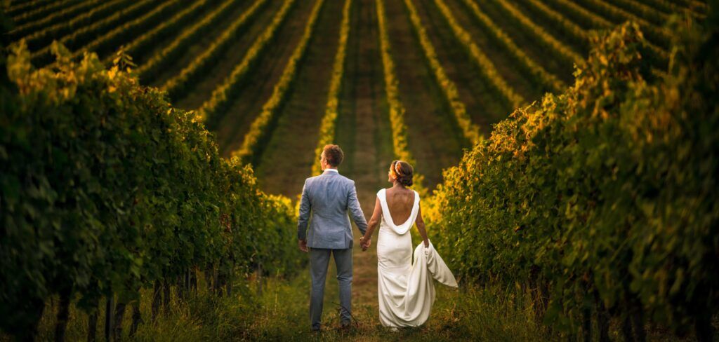 Bride and groom walking through a vineyard
