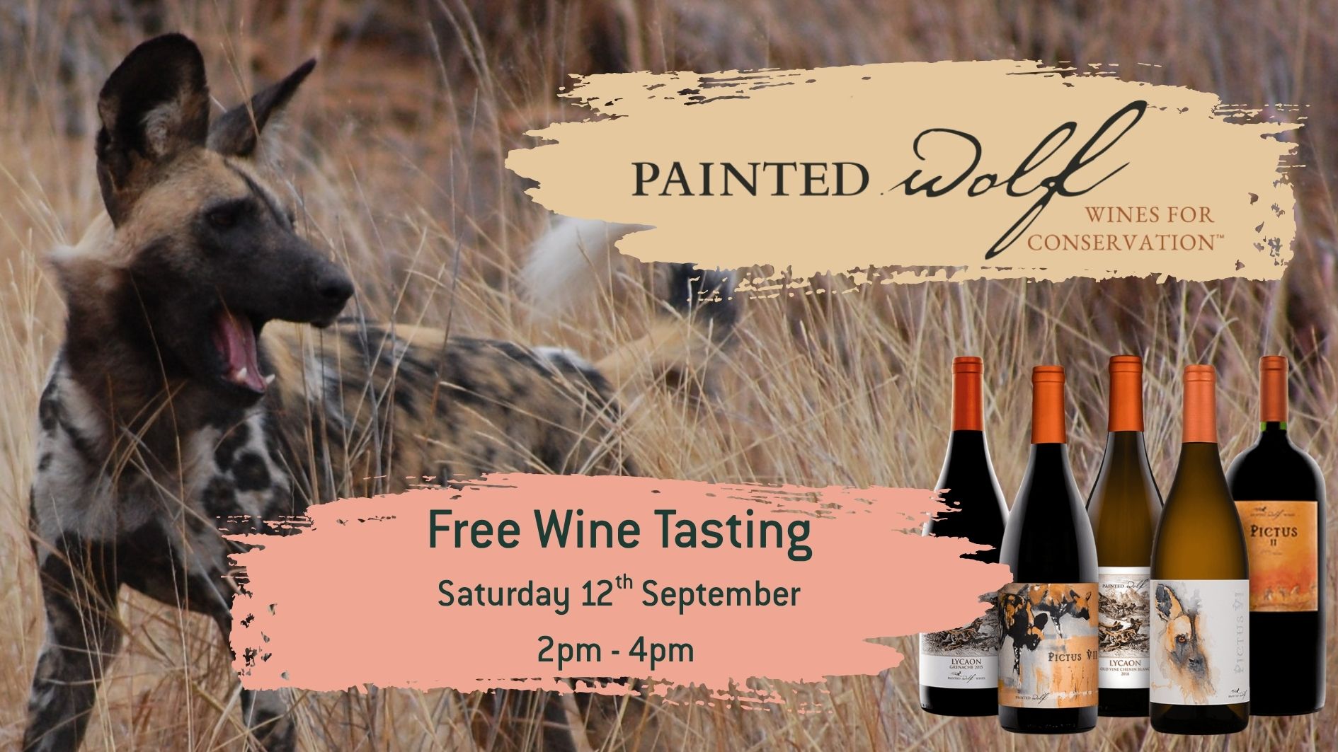 Painted Wolf Free Wine Tasting Event Cockburns of Leith